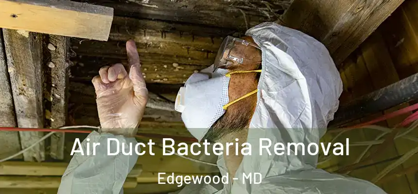 Air Duct Bacteria Removal Edgewood - MD