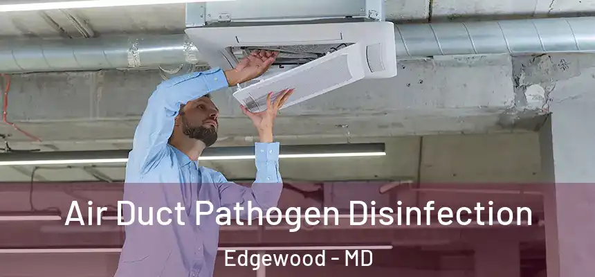  Air Duct Pathogen Disinfection Edgewood - MD