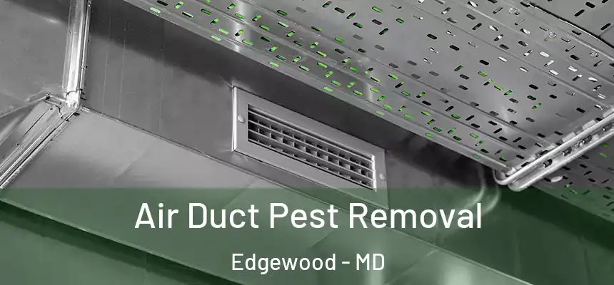  Air Duct Pest Removal Edgewood - MD