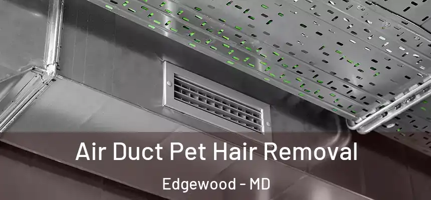  Air Duct Pet Hair Removal Edgewood - MD