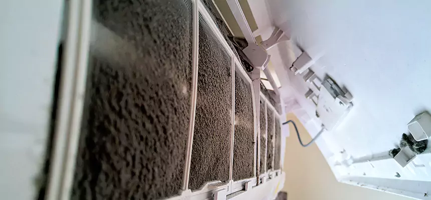 Preventive Air Duct Bacteria Removal in Edgewood