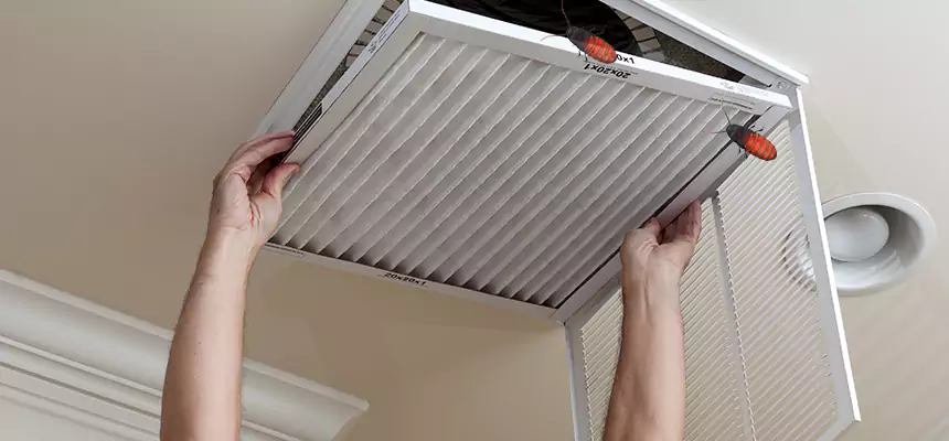 Preventive Cockroach-Proofing for Ducts in Edgewood