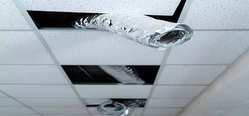 Our Air Duct Pet Hair Removal Services in Edgewood, MD