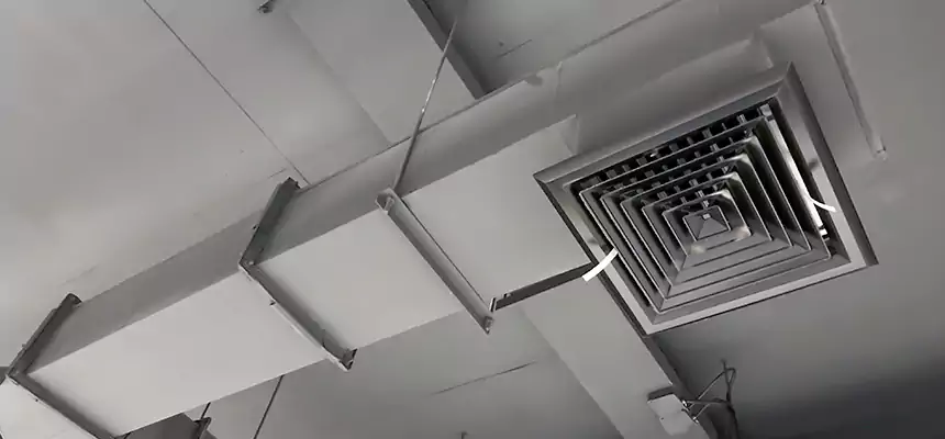 Our Rodent Droppings In Vents Services in Edgewood, MD