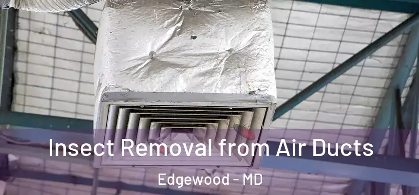  Insect Removal from Air Ducts Edgewood - MD