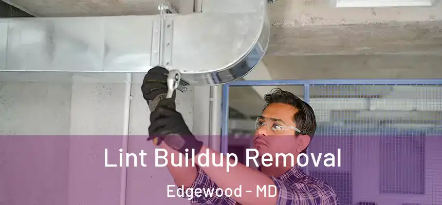  Lint Buildup Removal Edgewood - MD