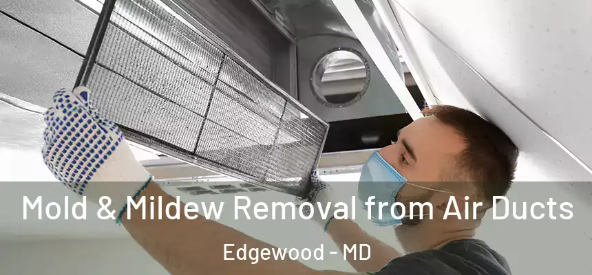  Mold & Mildew Removal from Air Ducts Edgewood - MD