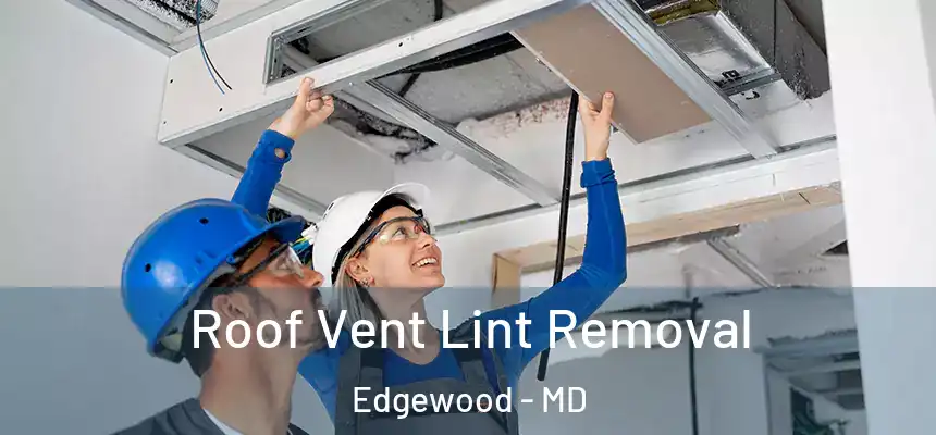  Roof Vent Lint Removal Edgewood - MD