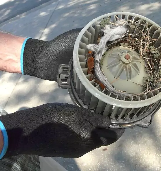 About Air Duct Rat Removal in Edgewood, MD