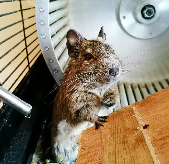 Why Homeowners & Businesses Trust Us Edgewood, MD?