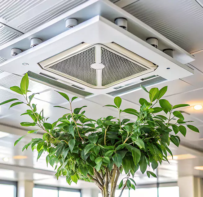 Why Homeowners & Businesses Trust Us in Edgewood, MD