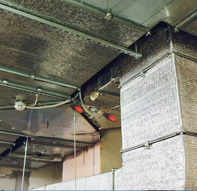 Why Homeowners & Businesses Trust Us Edgewood, MD?