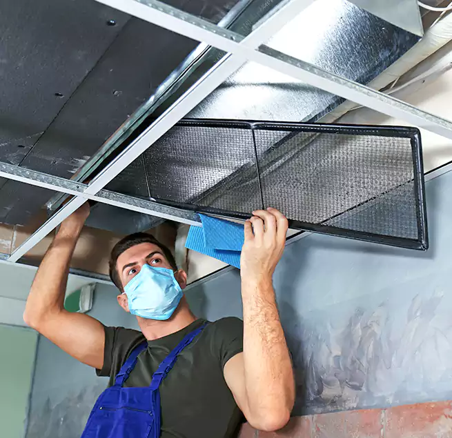 Why Homeowners Businesses Trust Us in Edgewood, MD